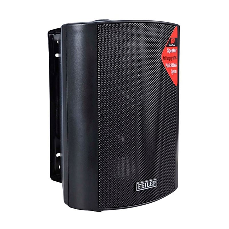 Background Music On Wall Mount Speakers